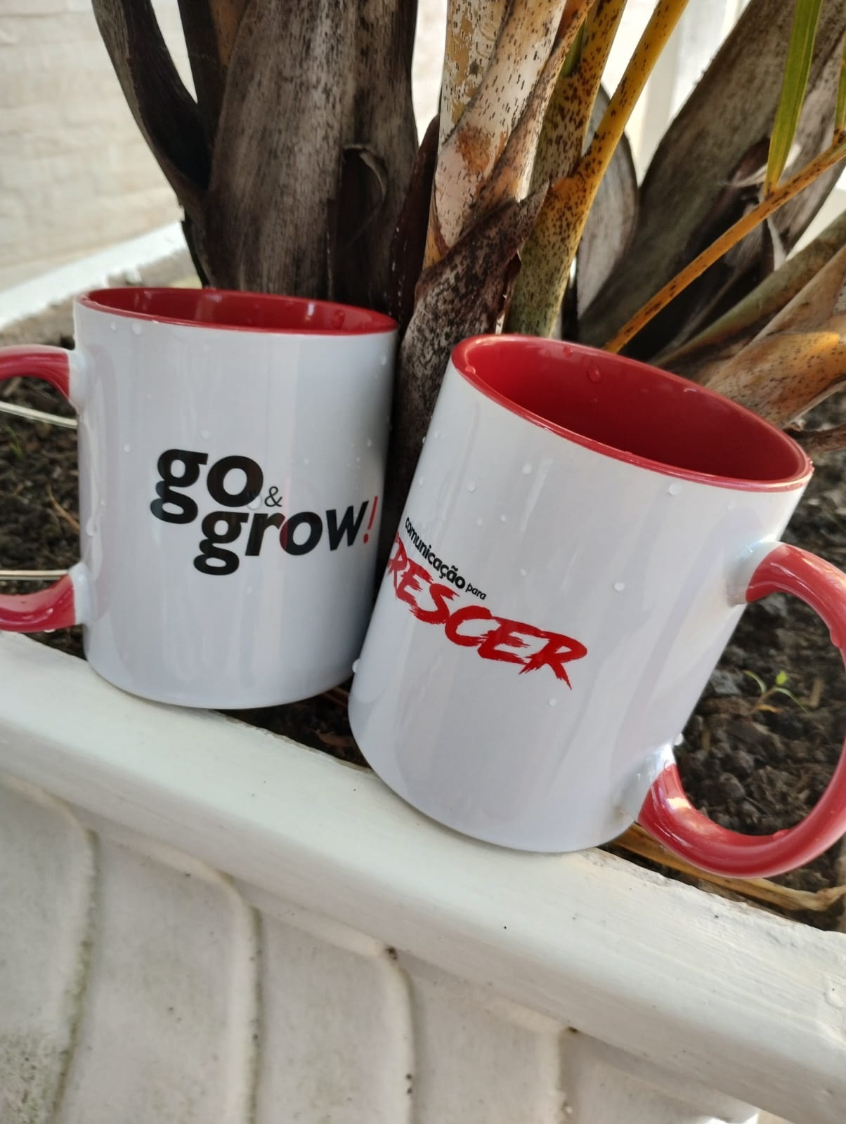 Canecas personalizadas coloridas para empresa